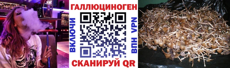 Галлюциногенные грибы мицелий  Ессентуки 