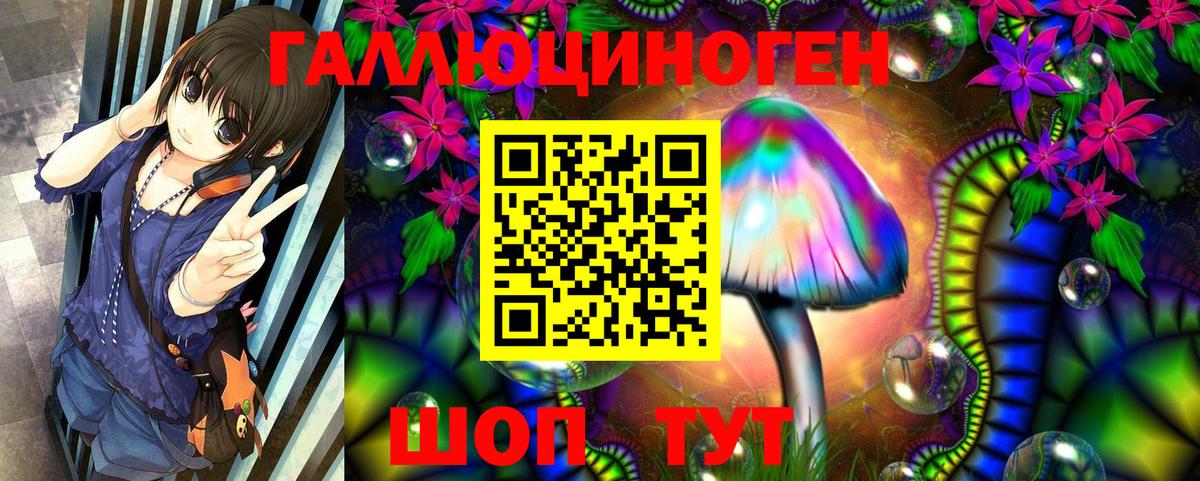 Псилоцибиновые грибы Magic Shrooms Ессентуки