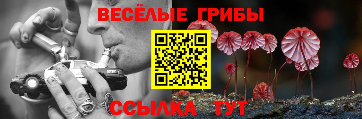 наркотики  Вход с VPN  Ессентуки  Псилоцибиновые грибы мухоморы 