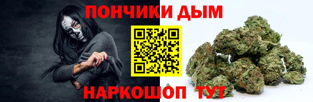 Конопля план Ессентуки